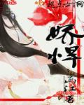 小狗饲养手册